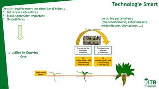 22
Technologie Smart
Avril, mai
Début de végétation
compliqué
Juin, juillet
De l’asphyxie encore
et encore
Octobre, novembre
Difficile de passer
entre les gouttes
Je suis régulièrement en situation d’échec :
 Betteraves adventices
 Stock semencier important
 Ombellifères
J’utilise le Conviso
One
10 jours minimum
Le ou les partenaires :
(phenmédiphame, éthofumésate,
métamitrone, clomazone, ...)
 