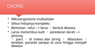 2. Patofisiologi Infeksi dan Inflamasi_PID21-compressed.pptx