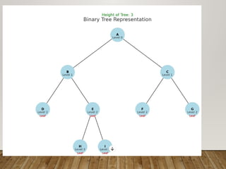 ppt for data structure and also algorithms | PPTX