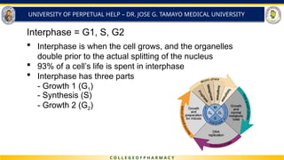 Interphaze 2.2 Cell Division - Genetics (1 ).pptx