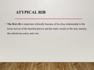 2. Typical and atypical ribs anatomy.pptx