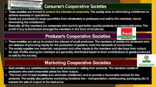 2. Forms of business organisation.pdf class 11 | PDF