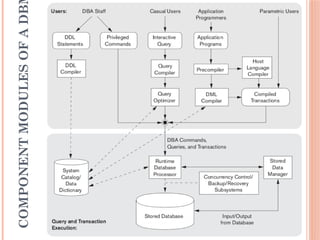 2. Lect 1 Database Management Systems.pptx