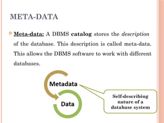 2. Lect 1 Database Management Systems.pptx