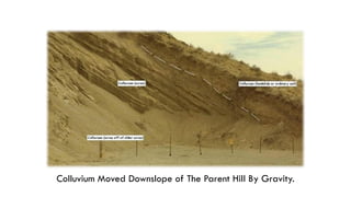 Comprehensive Overview of Soil Formation and Weathering Processes for ...
