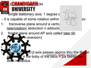 inversion and eversion BIOMECHANICS OF ANKLE.pptx