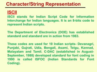 2. Data Representation class 11.pptx.pdf