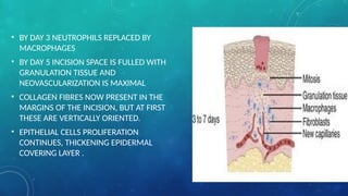 Comprehensive Overview of Wound Healing Processes and Classifications ...