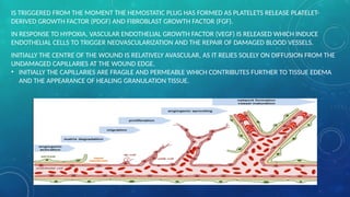 Comprehensive Overview of Wound Healing Processes and Classifications ...