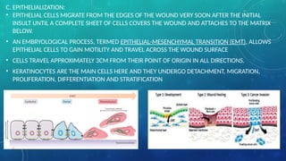 Comprehensive Overview of Wound Healing Processes and Classifications ...