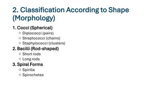 classification of bacteria in biology.pptx