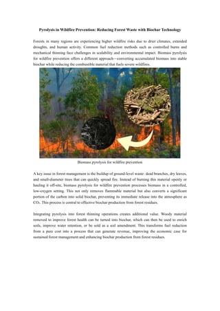 Pyrolysis Firefighting Pyrolysis in Wildfire Prevention: Reducing Forest Waste with Biochar ...