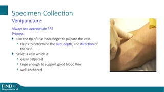 2. Blood Specimen Collection..................pptx