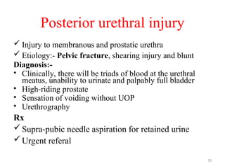 High Riding Prostate Sign Comprehensive Overview of Trauma Management: Chest, Abdominal, and ...