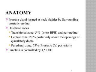 Comprehensive Overview of Benign Prostatic Hyperplasia (BPH): Anatomy ...
