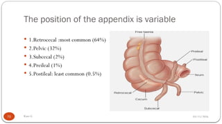 2. Anatomy of digestive system Kaso.pptx