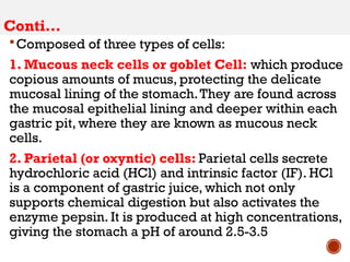 2. GIT-2.pptx For Medical College Students | PPTX