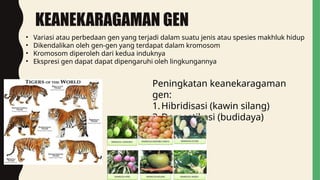 Comprehensive Overview of Biodiversity: Ecosystems, Species, and ...