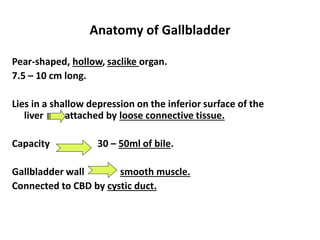 Comprehensive Overview of Liver, Gallbladder, and Pancreas Functions ...