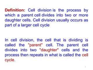 Comprehensive Overview of Cell Division: Mitosis and Meiosis Processes ...