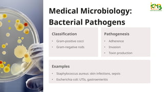 Comprehensive Introduction to Virology and Medical Microbiology ...