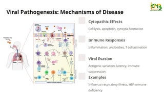 Comprehensive Introduction to Virology and Medical Microbiology ...
