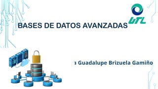 Comprehensive Guide to Advanced SQL Subqueries and Database Management ...