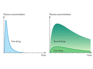 Comprehensive Overview of Drug Distribution and Protein Binding in ...