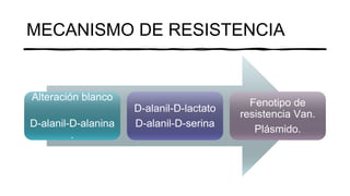 Presnsetación de diapositivas del resumen de los Glucopéptidos.pdf