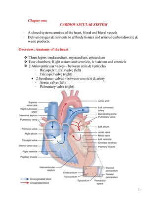 Comprehensive Overview of the Cardiovascular System and Coronary Artery ...