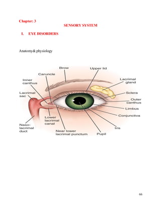 Comprehensive Overview of the Cardiovascular System and Coronary Artery ...
