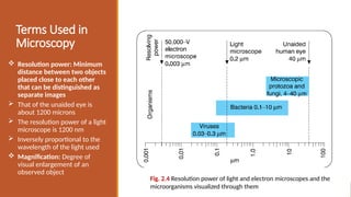 2.Microscopy (2).pptxgddsbacteriologyinfor | PPTX