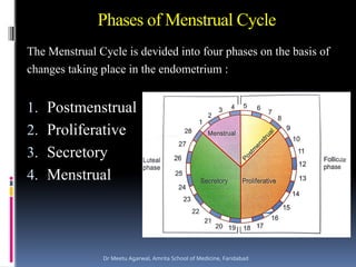 Comprehensive Overview of the Menstrual and Ovarian Cycles with ...