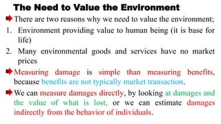 Comprehensive Environmental Valuation: Theory, Values, and Economic ...