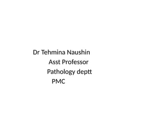Guide Fine Comprehensive Guide to Fine Needle Aspiration Cytology (FNAC) Procedure ...