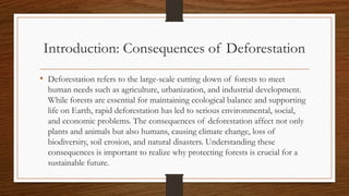 Environmental and Societal Impacts of Deforestation: Causes and ...