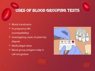 Comprehensive Overview of Blood and Its Components: Functions ...