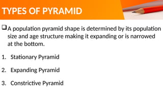 Contrictive Pyramid Comprehensive Guide to Population Pyramids: Types, Uses, and ...