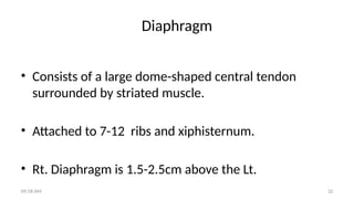 Comprehensive Guide to Chest X-Ray Interpretation and Analysis | PPTX