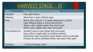 2. Post harvest handling of flowers.pptx