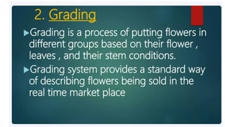 2. Post harvest handling of flowers.pptx