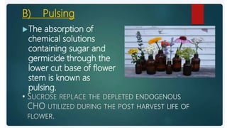 2. Post harvest handling of flowers.pptx