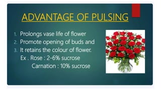 2. Post harvest handling of flowers.pptx