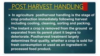 2. Post harvest handling of flowers.pptx