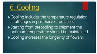 2. Post harvest handling of flowers.pptx