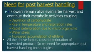 2. Post harvest handling of flowers.pptx