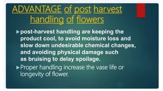 2. Post harvest handling of flowers.pptx