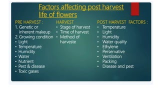2. Post harvest handling of flowers.pptx