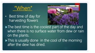 2. Post harvest handling of flowers.pptx