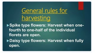 2. Post harvest handling of flowers.pptx